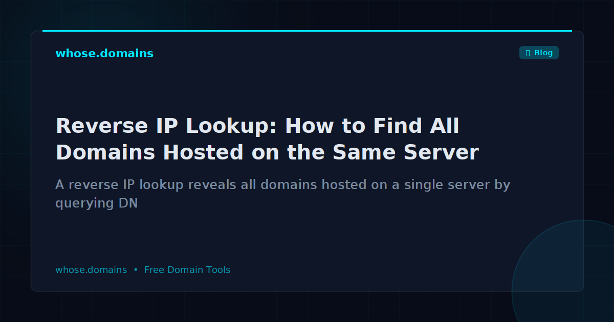Reverse IP Lookup: How to Find All Domains Hosted on the Same Server