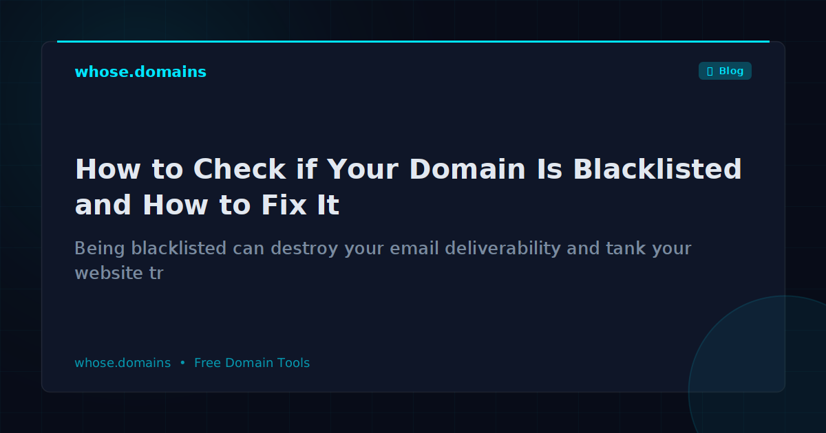 How to Check if Your Domain Is Blacklisted and How to Fix It