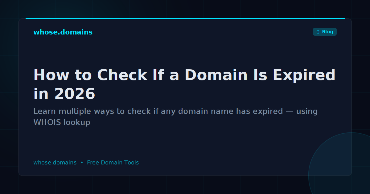 How to Check If a Domain Is Expired in 2026